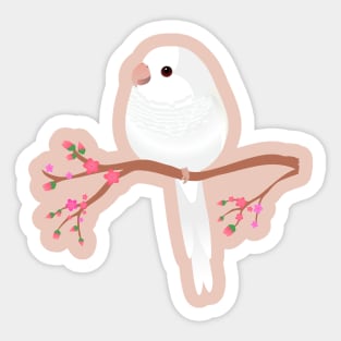 Cute egg shaped albino quaker parrot or monk parakeet Sticker